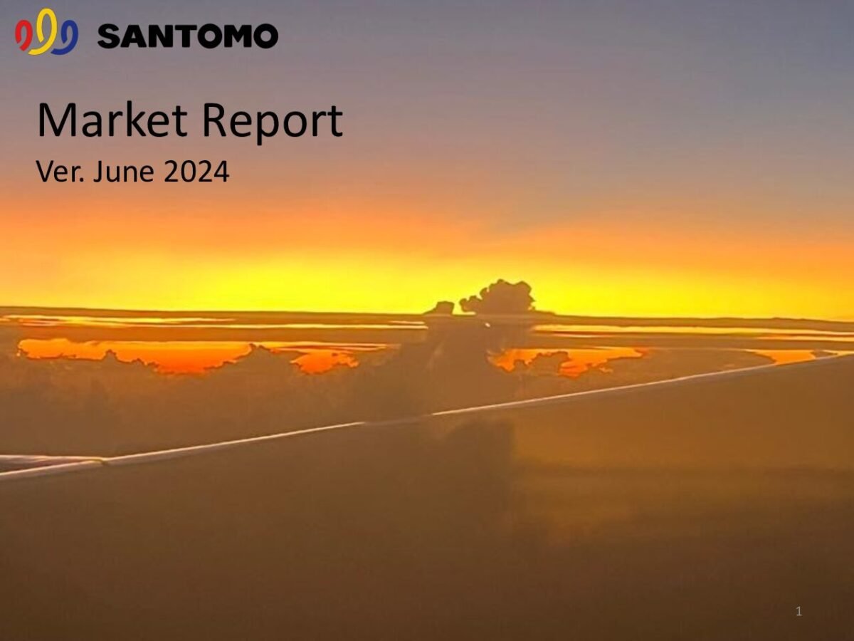 thumbnail of 2406 – Santomo Market Report June 2024