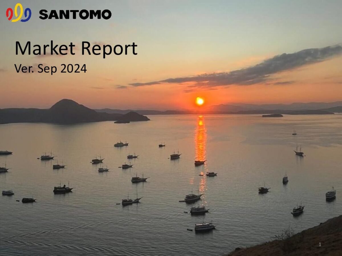 thumbnail of 2409 – Santomo Market Report September 2024