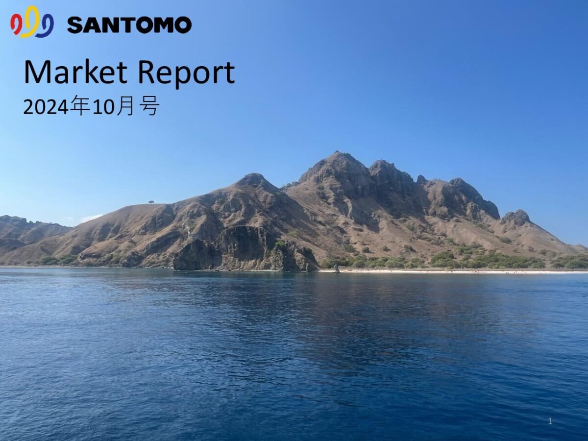 thumbnail of Market Report 2024年10月号