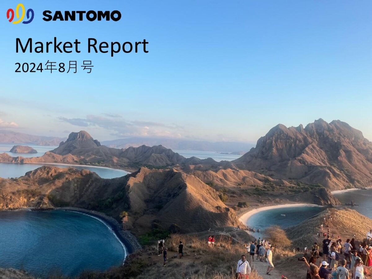 thumbnail of Market Report 2024年8月号