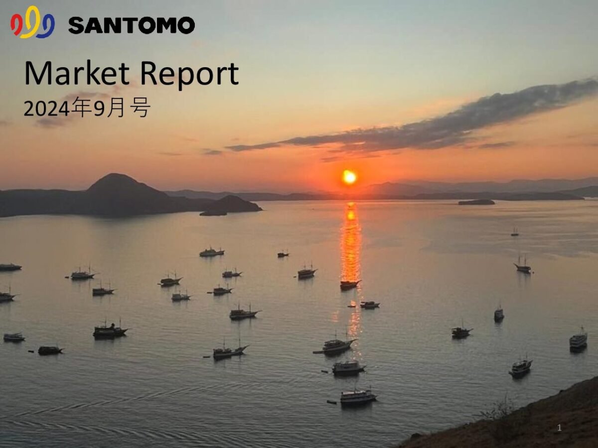 thumbnail of Market Report 2024年9月号