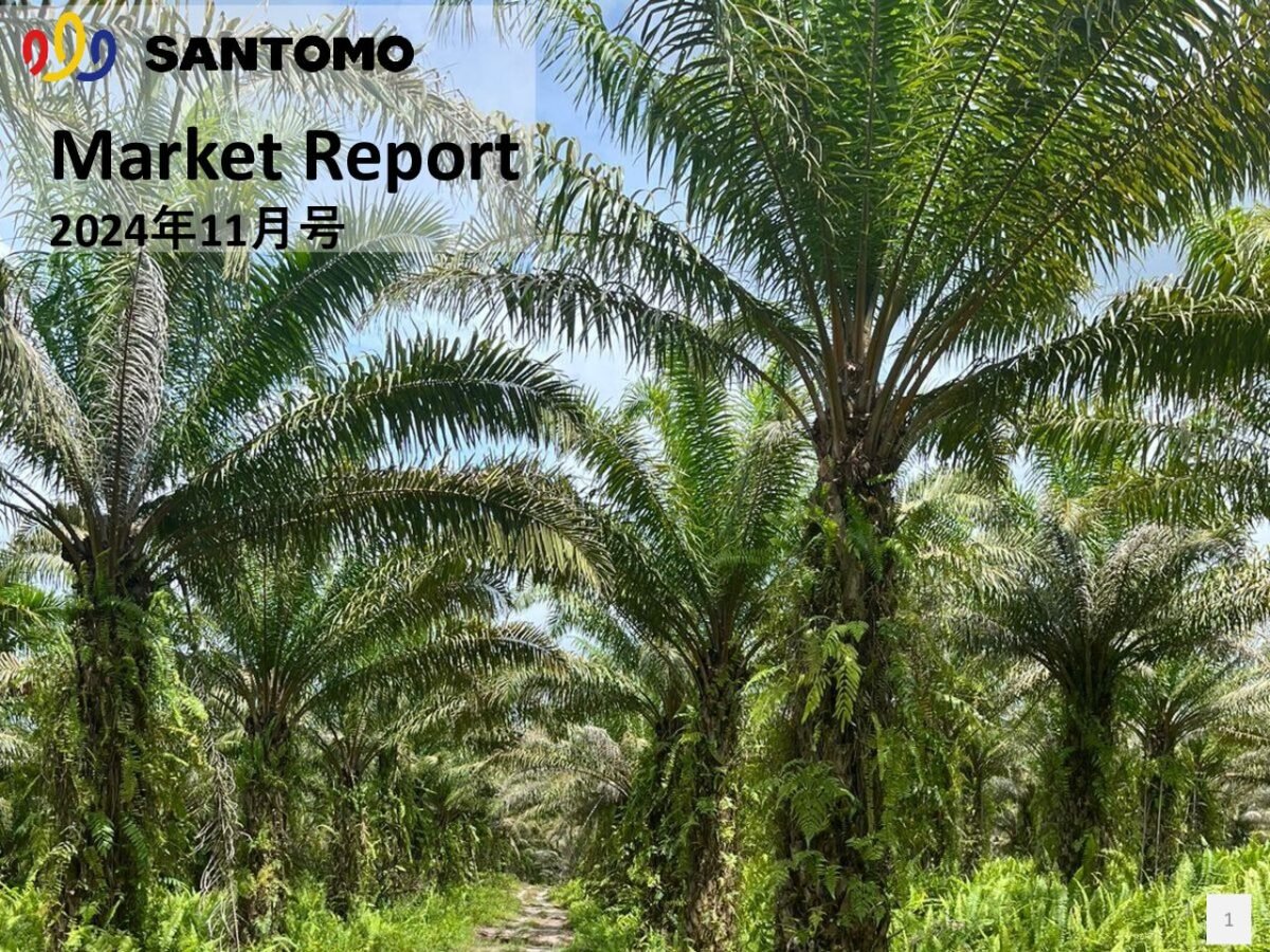 thumbnail of Market Report 2024年11月号