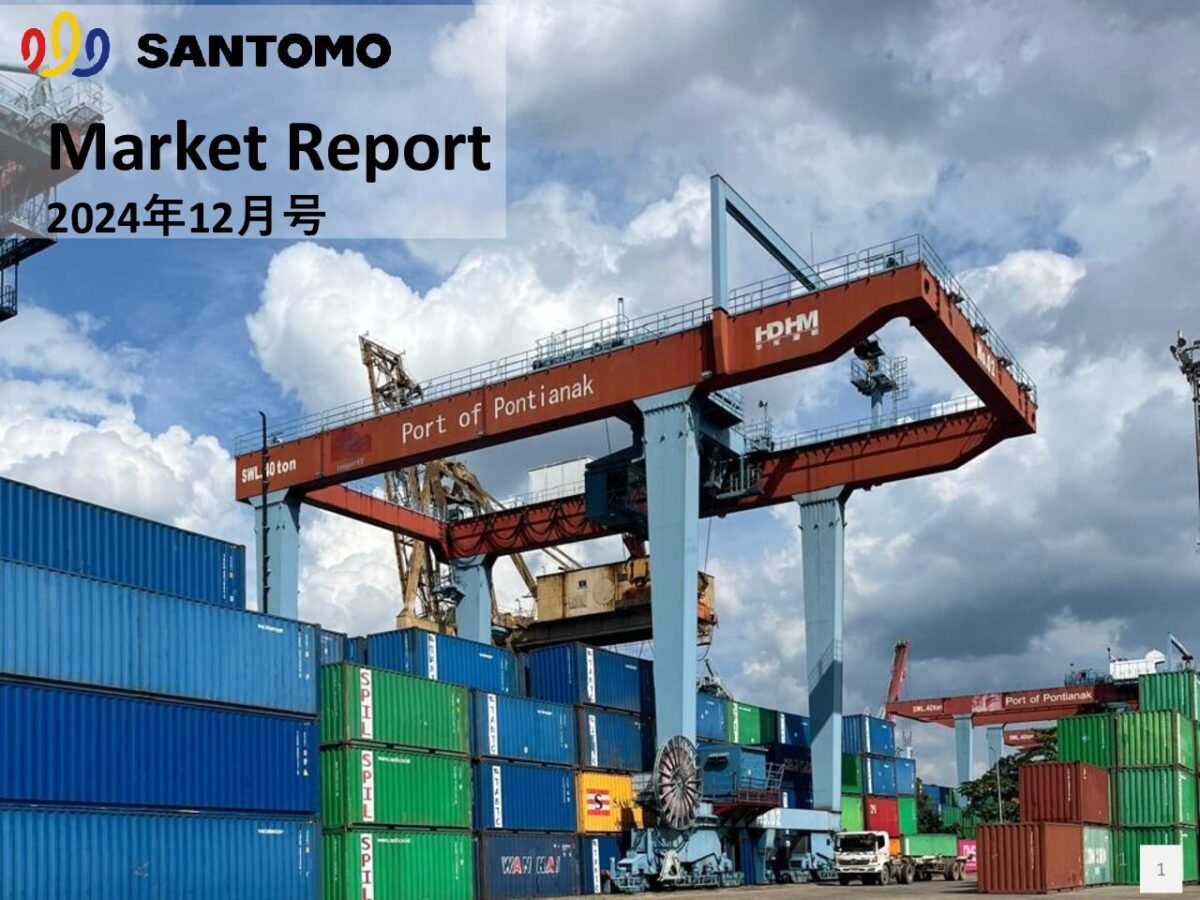 thumbnail of Market Report 2024年12月号