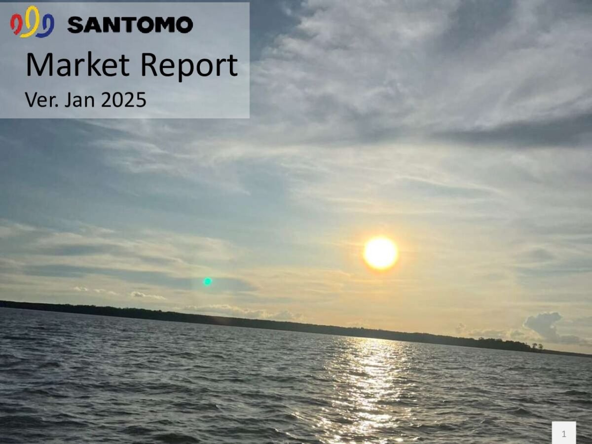 thumbnail of 2501 – Santomo Market Report January 2025