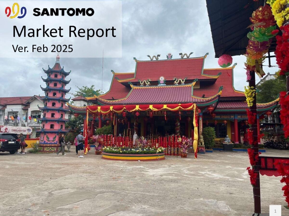 thumbnail of 2502 – Santomo Market Report February 2025