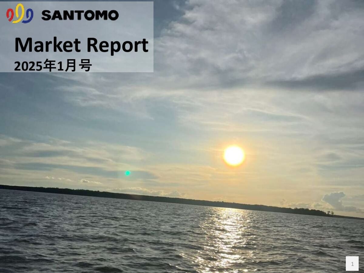 thumbnail of Market-Report-2025年01月号