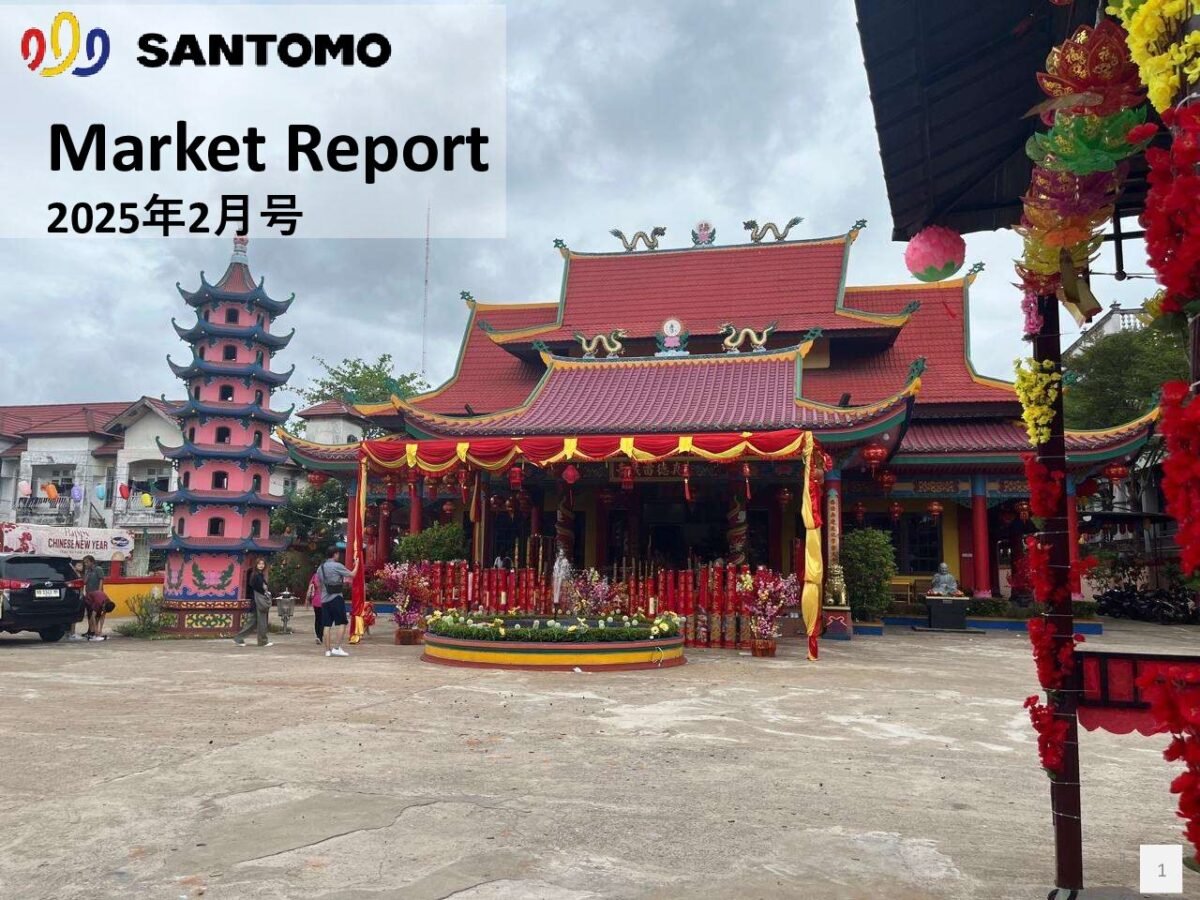 thumbnail of Market-Report-2025年02月号