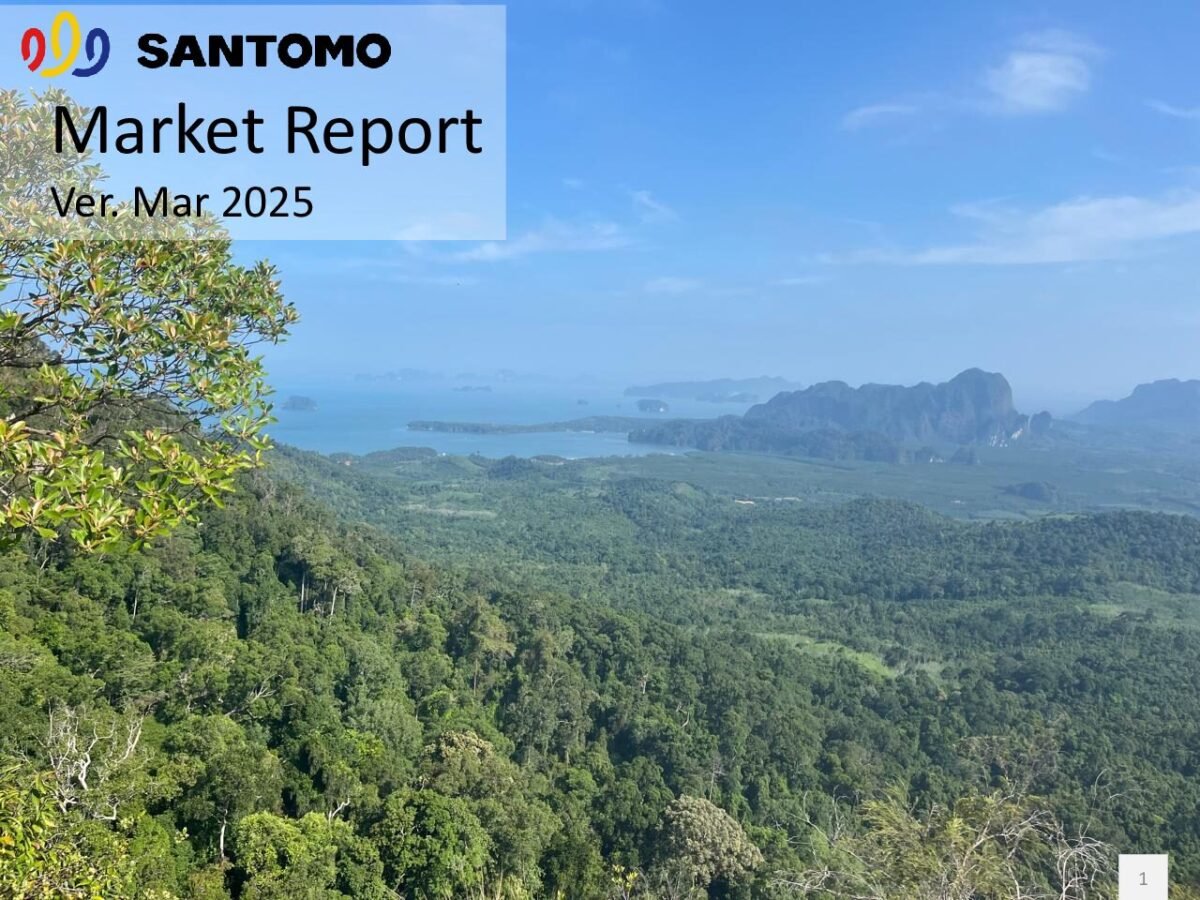 thumbnail of 2503 – Santomo Market Report March 2025