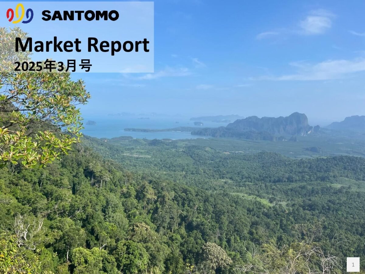 thumbnail of Market-Report-2025年03月号