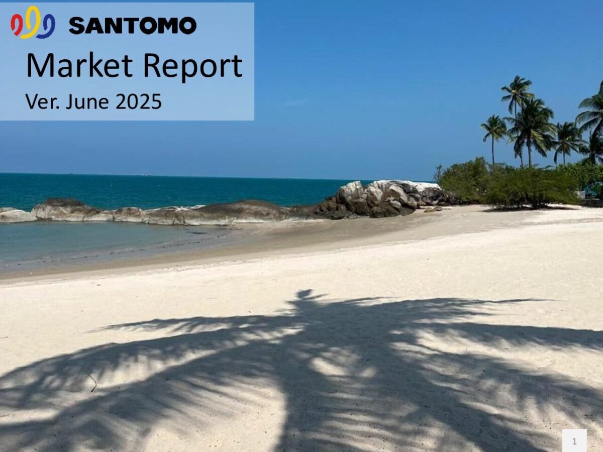 thumbnail of 2506 – Santomo Market Report June 2025