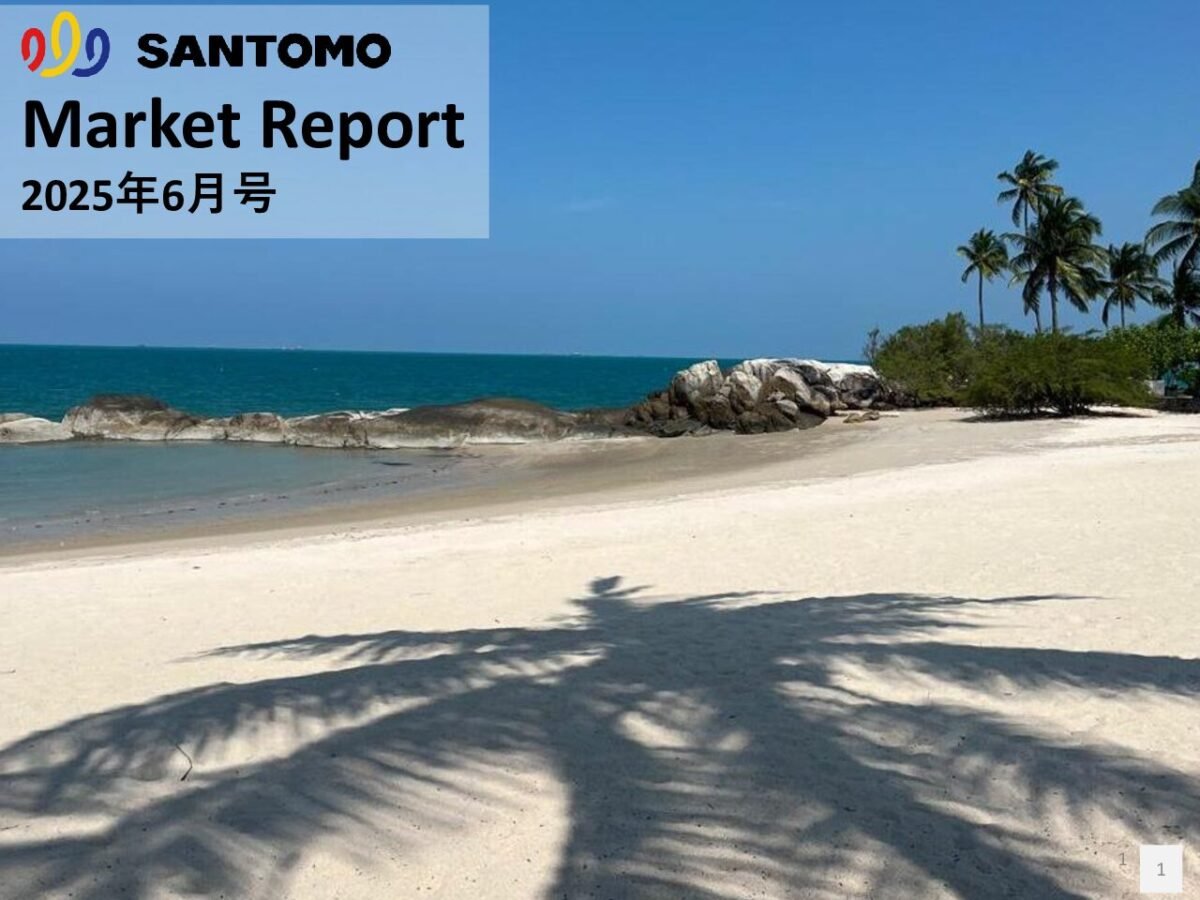 thumbnail of Market-Report-2025年06月号