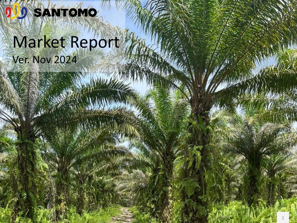 thumbnail of 2411 – Santomo Market Report November 2024