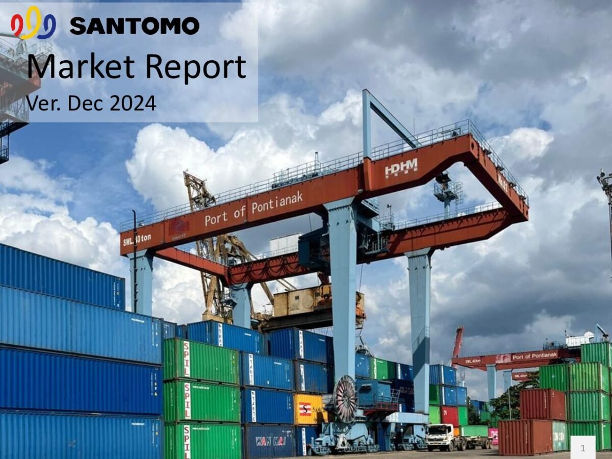 thumbnail of 2412 – Santomo Market Report December 2024